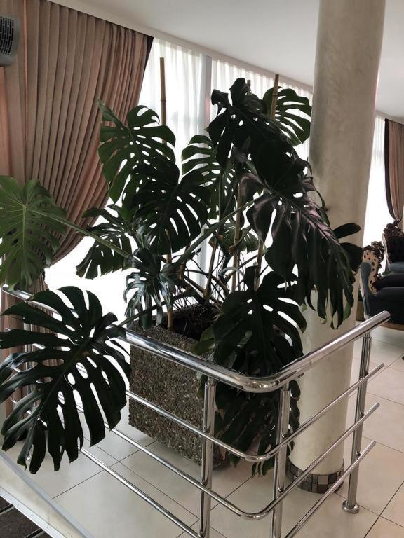 Hotel Перлина Saevka Exteriör bild